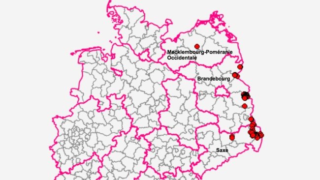 Länder allemands ayant des cas de peste porcine africaine. Source : FLI.