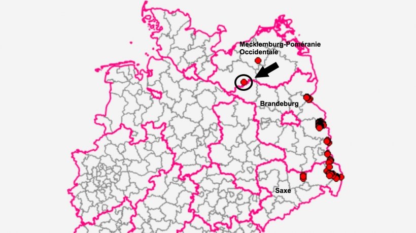 La d&eacute;couverte a &eacute;t&eacute; faite &agrave; Marnitz, dans le district de Ludwigslust-Parchim. Source : TSIS.
