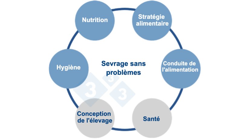 Figure 1 : Une approche multifactorielle de l&#39;alimentation sans zinc. Source : Vilomix.
