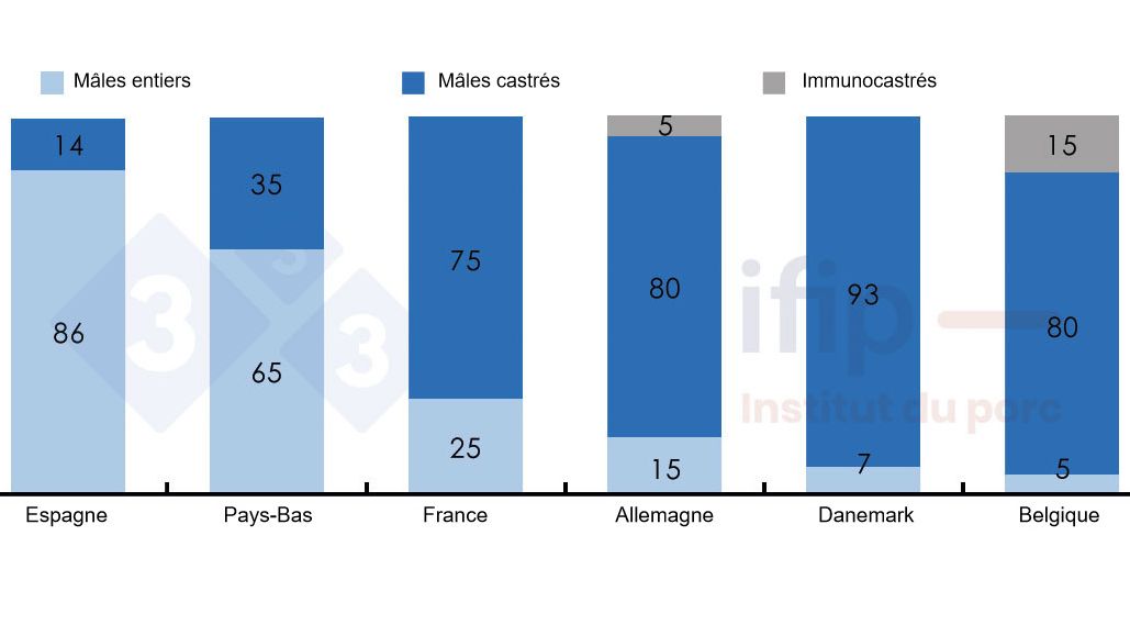 R&eacute;partition des abattages m&acirc;les selon m&acirc;les entiers, castr&eacute;s ou immunocastr&eacute;s.
