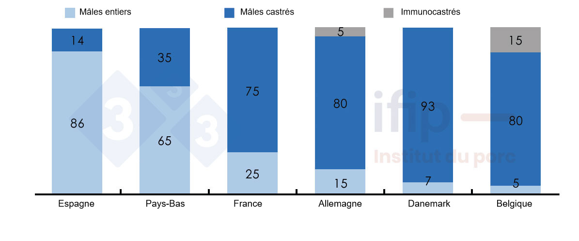 Répartition des abattages mâles selon mâles entiers, castrés ou immunocastrés.