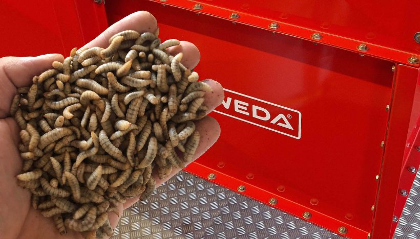 WEDA Dammann &amp; Westerkamp GmbH supplies the complete insect feeding system for the Polish feed producer HiProMine.
