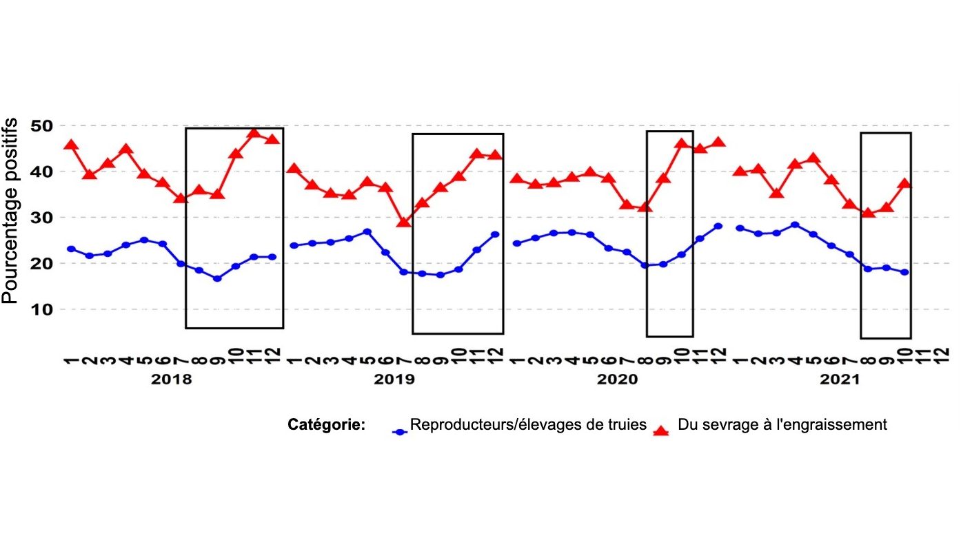 Graphique 1 - Pourcentage d'&eacute;chantillons positifs en PCR pour les cat&eacute;gories "reproducteurs" et "sevrage-abattage". Les cases noires montrent les pics plus &eacute;lev&eacute;s et/ou plus pr&eacute;coces dans les donn&eacute;es de sevrage &agrave; l'abattage par rapport aux &eacute;levages de reproduction/truies. Source : ISU-VDL : Laboratoire v&eacute;t&eacute;rinaire et de diagnostic de l'Universit&eacute; d'&Eacute;tat de l'Iowa ; UMN-VDL : Laboratoire v&eacute;t&eacute;rinaire et de diagnostic de l'Universit&eacute; du Minnesota ; SDSU-ADRDL : Laboratoire de recherche et de diagnostic des maladies animales de l'Universit&eacute; d'&Eacute;tat du Sud ; KSU-VDL : Laboratoire v&eacute;t&eacute;rinaire et de diagnostic de l'Universit&eacute; d'&Eacute;tat du Kansas ; OH-ADDL : Laboratoire de diagnostic et de maladies animales de l'Ohio.
