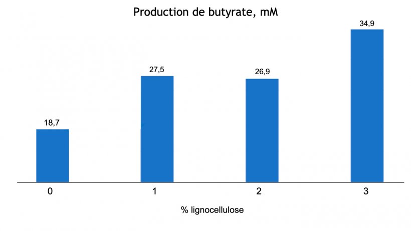 Figure 1 : Effet dose-d&eacute;pendant de l&#39;inclusion de lignocellulose sur la production de butyrate (mM) chez les porcelets sevr&eacute;s &agrave; 63 jours d&#39;&acirc;ge (Adapt&eacute; de Silva-Guillen et al., 2022) P=0,001 SEM= 1,810.
