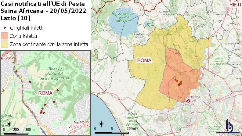 Cas de PPA chez les sangliers signal&eacute;s &agrave; Rome au 20/05/2022. Source : IZSUM
