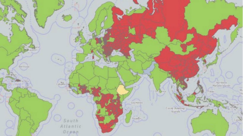 Distribution cumulative mondiale de la peste porcine africaine depuis 2005. Les zones infect&eacute;es (signal&eacute;es au moins une fois) sont repr&eacute;sent&eacute;es en rouge, les zones suspectes en jaune et les zones indemnes en vert.&nbsp;Source : WOAH.
