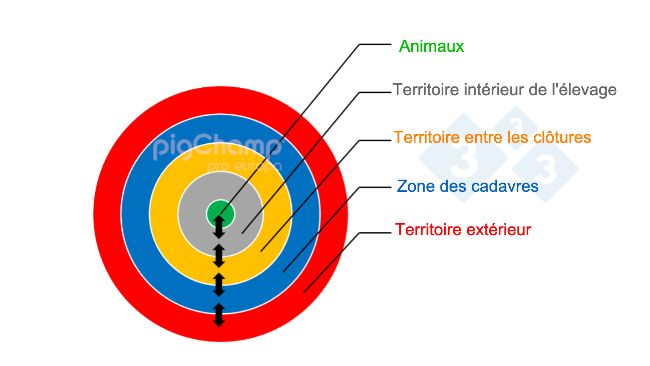 Image&nbsp;1. Repr&eacute;sentation sch&eacute;matique de la gestion de la bios&eacute;curit&eacute; en anneaux d'un &eacute;levage.a representaci&oacute;n esquem&aacute;tica de la ordenaci&oacute;n de la bioseguridad&nbsp;de una granja en anillos.&nbsp;
