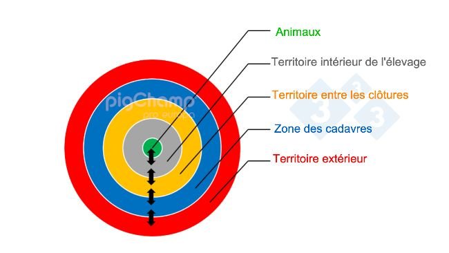 Image 1. Représentation schématique de la gestion de la biosécurité en anneaux d'un élevage.a representación esquemática de la ordenación de la bioseguridad de una granja en anillos. 