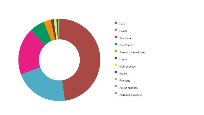 Production d'aliments pour animaux par espèce en Espagne en 2020 (t). Source : MAPA.