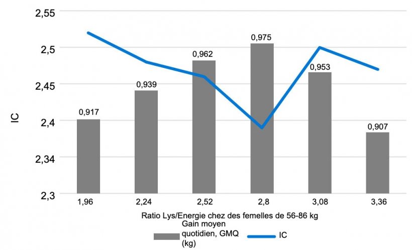 Graphique 1. Effet du rapport Lys/Energie chez les femelles de 56-86 kg. Main, et al. 2002.

