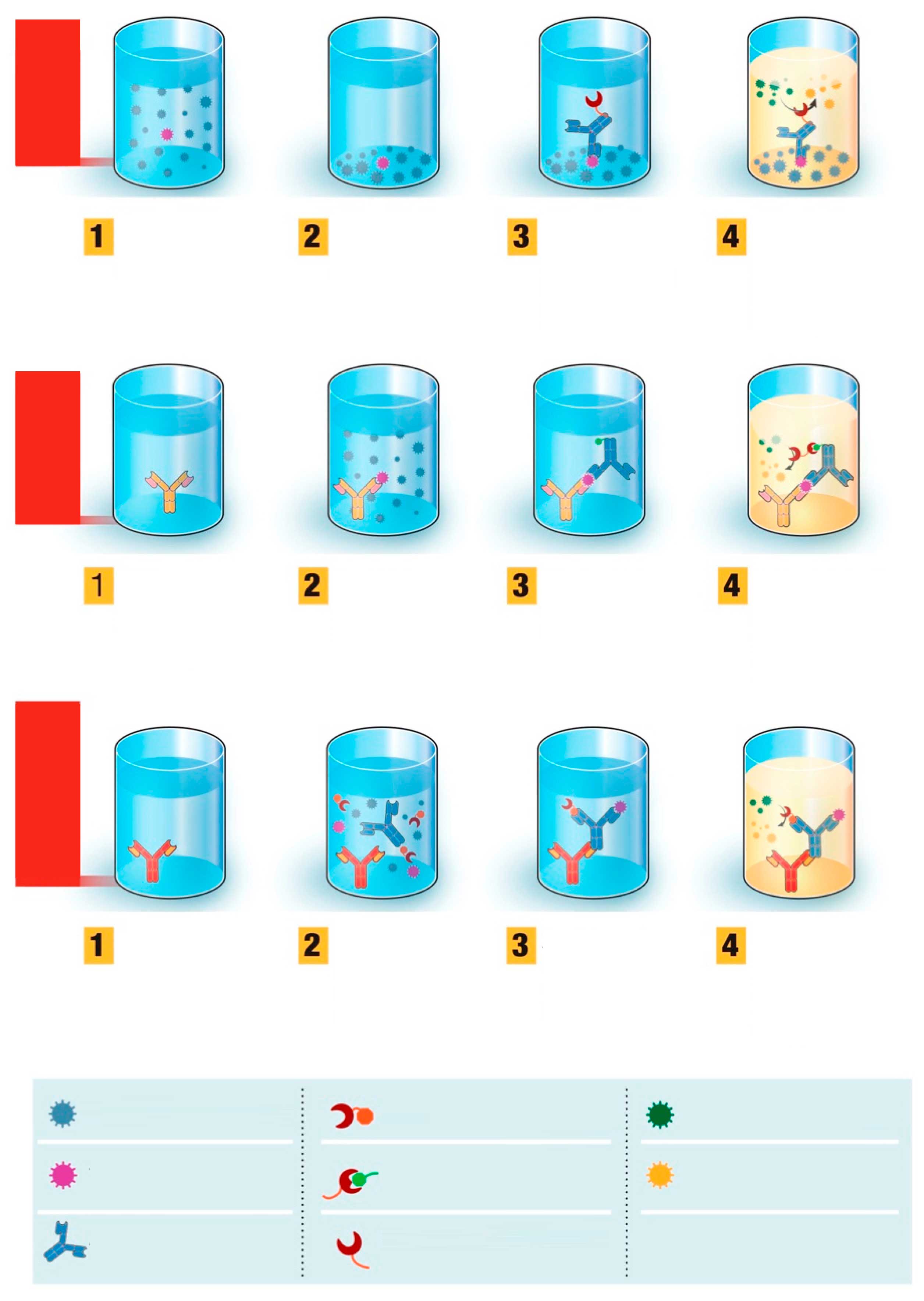 Le test ELISA comme outil de diagnostic (1/2) principes de base Articles 3trois3, Le site