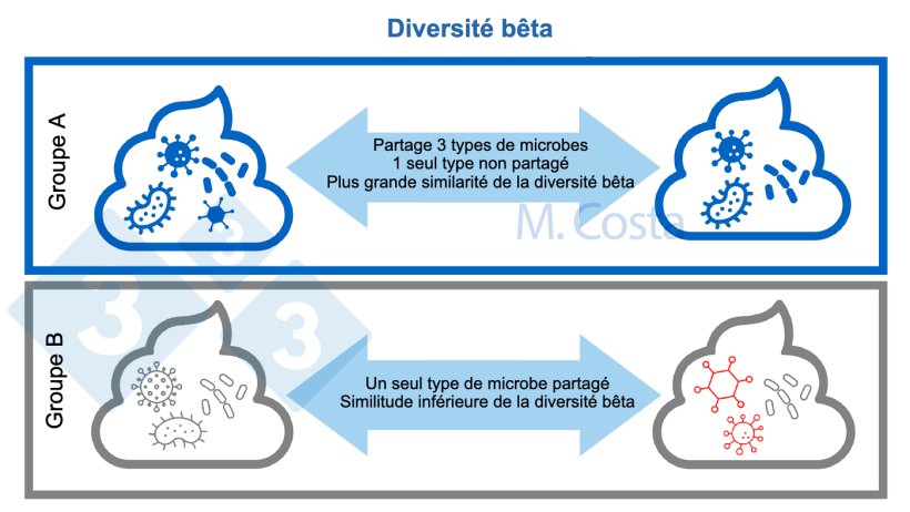 Figure 3 : Comprendre les changements dans la composition microbienne entre les &eacute;chantillons (diversit&eacute; b&ecirc;ta). Une communaut&eacute; microbienne plus similaire partage plus de types de microbes entre les &eacute;chantillons. Normalement, d&#39;autres aspects (tels que les relations g&eacute;n&eacute;tiques entre les microbes) sont pris en compte lors du calcul de l&#39;indice de diversit&eacute; b&ecirc;ta.
