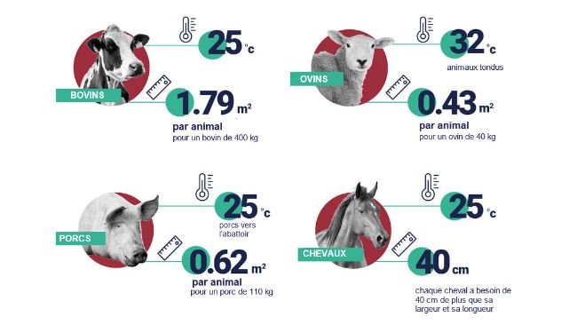 Espace et températures recommandés par animal. Source : EFSA.