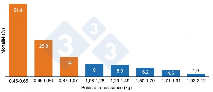 Graphique 1. Mortalit&eacute; avant sevrage en fonction du poids de naissance. Les porcelets de moins de 1,07 kg (orange) ont une mortalit&eacute; plus &eacute;lev&eacute;e.

