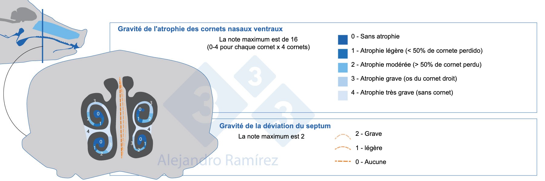 <p>Méthode de la Pharmacopée européenne pour l'évaluation des lésions des cornets.</p>