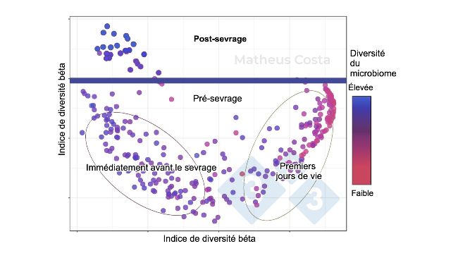 Figure 1. Diagramme de dispersion montrant les associations entre la composition du microbiome des porcs pendant les premiers jours de vie (0-7 jours), imm&eacute;diatement avant le sevrage (21 jours) et apr&egrave;s le sevrage (100 jours). Le changement le plus important est observ&eacute; entre les &eacute;chantillons pr&eacute;-sevrage et post-sevrage. La diversit&eacute; alpha atteint son maximum apr&egrave;s le sevrage (indiqu&eacute;e comme "diversit&eacute; du microbiome").
