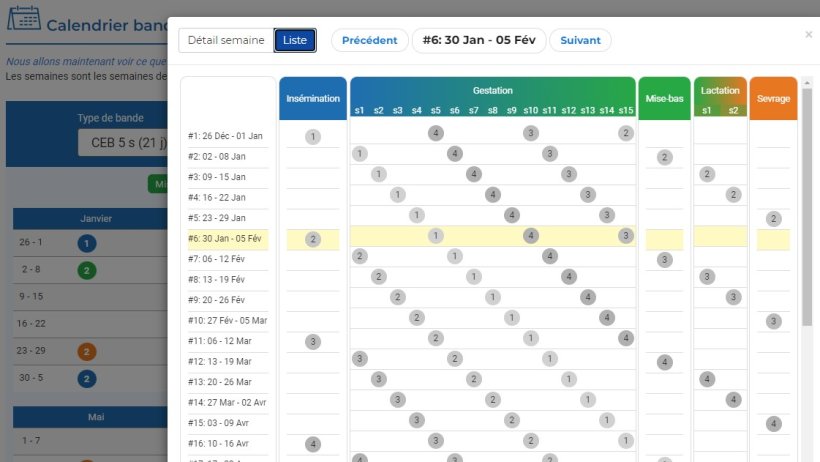 simulateur de conduite en bandes
