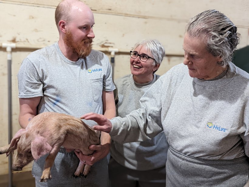 Figure 3 : La rampe a reçu l'approbation du Dr Temple Grandin, célèbre spécialiste du comportement animal.