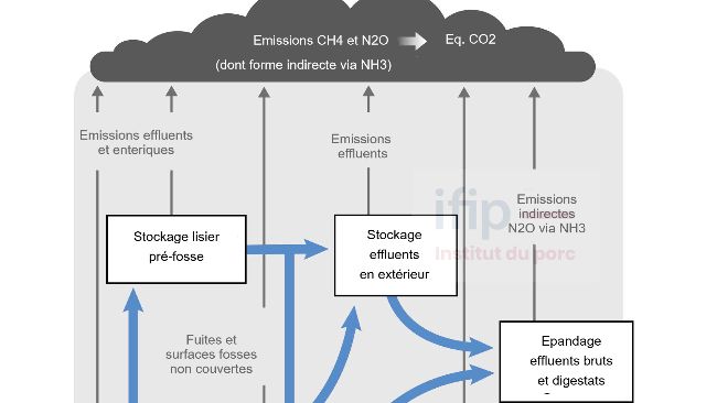 Sch&eacute;ma du p&eacute;rim&egrave;tre du calculateur (en gris&eacute;). Source: IFIP.