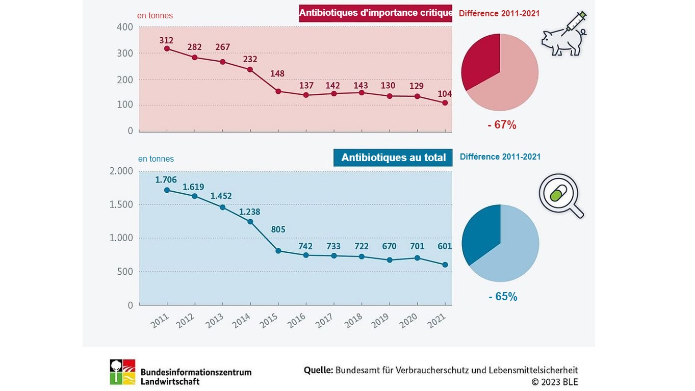 <p>Comment a &eacute;volu&eacute; l'utilisation des antibiotiques dans l'&eacute;levage ? Source : BLE</p>
