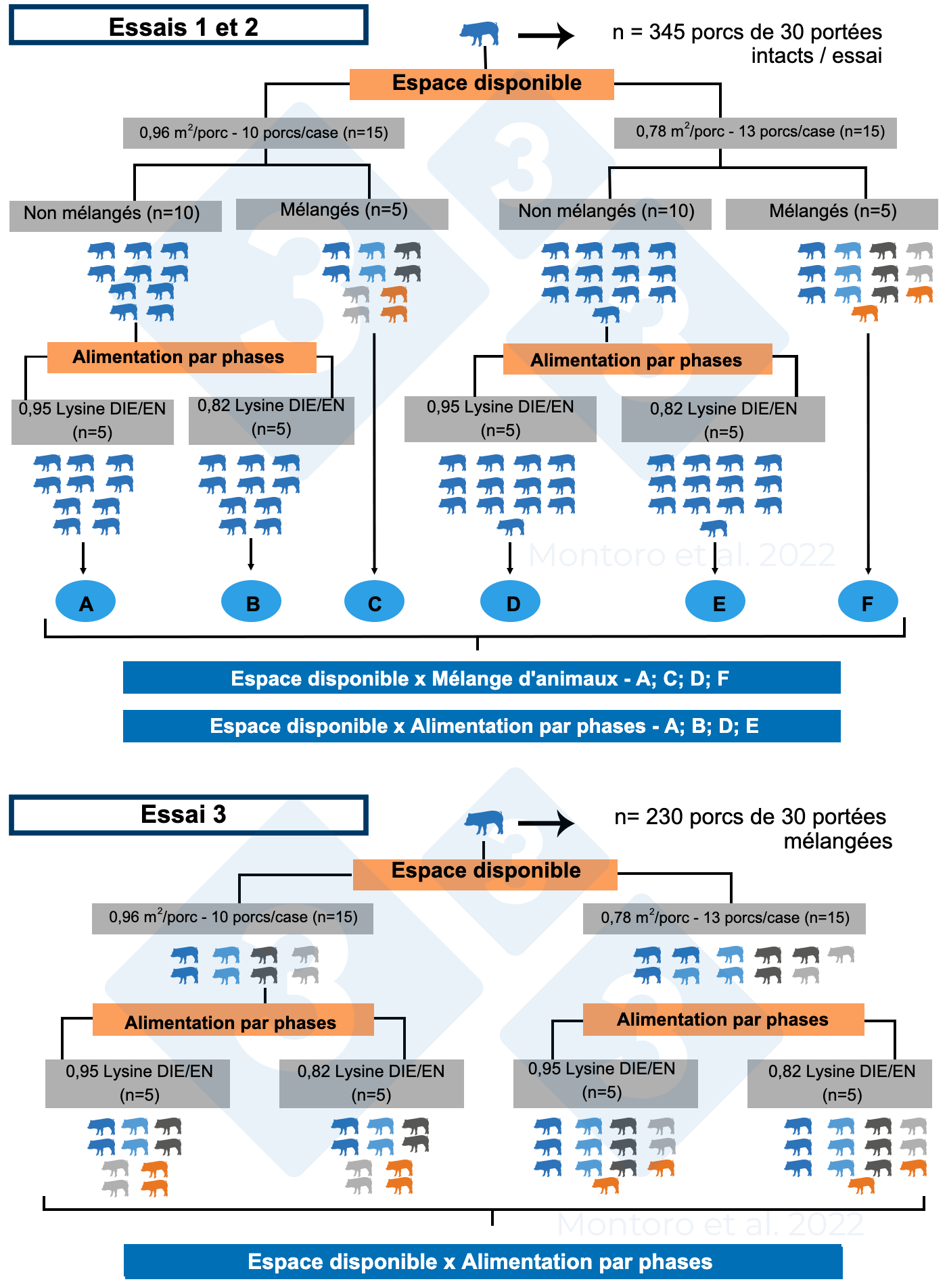 <p>Figure 2 : Illustration sch&eacute;matique du plan exp&eacute;rimental des essais 1, 2 et 3. Dans les essais 1 et 2, le plan exp&eacute;rimental &eacute;tait un dispositif factoriel 2 &times; 2 avec, respectivement, le m&eacute;lange d'animaux et l'alimentation par phases. Dans l'essai 3, le plan exp&eacute;rimental &eacute;tait un dispositif factoriel 2 &times; 2 avec comme traitement espace disponible x alimentation par phases et le m&eacute;lange d'animaux a &eacute;t&eacute; appliqu&eacute; &agrave; toutes les cases. Source : Montoro et al : Montoro et al. 2022.</p>
