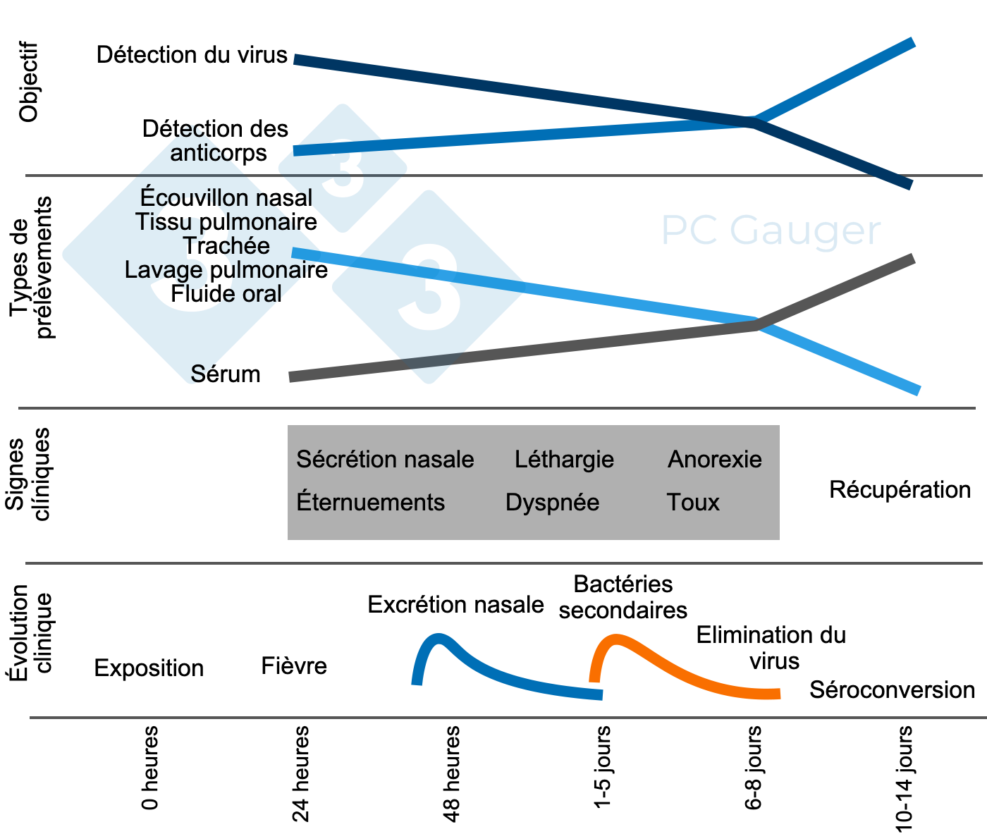 <p>Figure 1 : Pr&eacute;l&egrave;vements d'&eacute;chantillons pour la d&eacute;tection directe ou indirecte et le diagnostic du virus de l'influenza A chez les porcs. L'&eacute;chantillonnage pour la d&eacute;tection directe doit &ecirc;tre effectu&eacute; pendant l'excr&eacute;tion du virus, au d&eacute;but de la maladie. La d&eacute;tection indirecte des anticorps antigrippaux doit &ecirc;tre effectu&eacute;e apr&egrave;s l'excr&eacute;tion du virus et cible la r&eacute;ponse immunitaire contre l'infection.</p>
