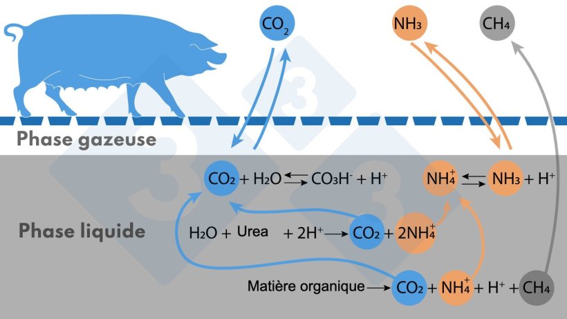 Sch&eacute;ma simplifi&eacute; des r&eacute;actions affectant les &eacute;missions de NH3 et de CH4.

