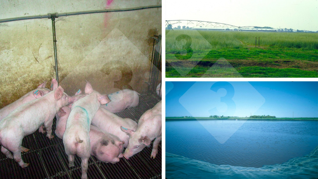 <p>Figure 3 : Une mauvaise gestion des abreuvoirs a un impact négatif sur les coûts d'exploitation et l'environnement.</p>