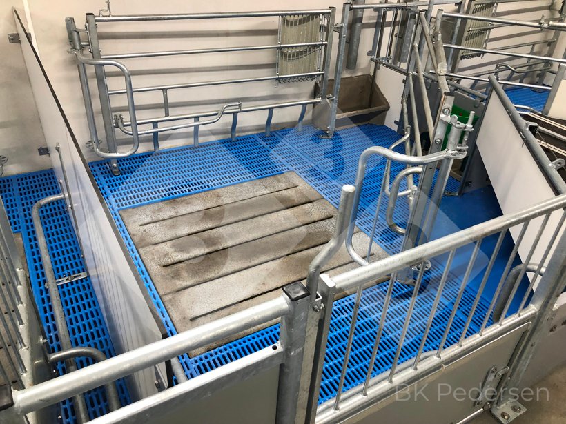 Figure 5 : Case de mise bas carr&eacute;e danoise (novembre 2022)
