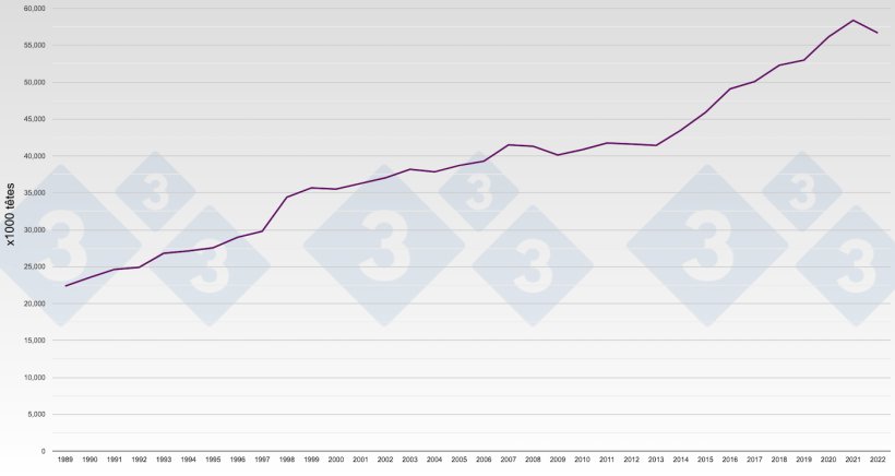 Graphique 1 : &Eacute;volution de la production porcine en Espagne. Nombre de porcs abattus par an.
