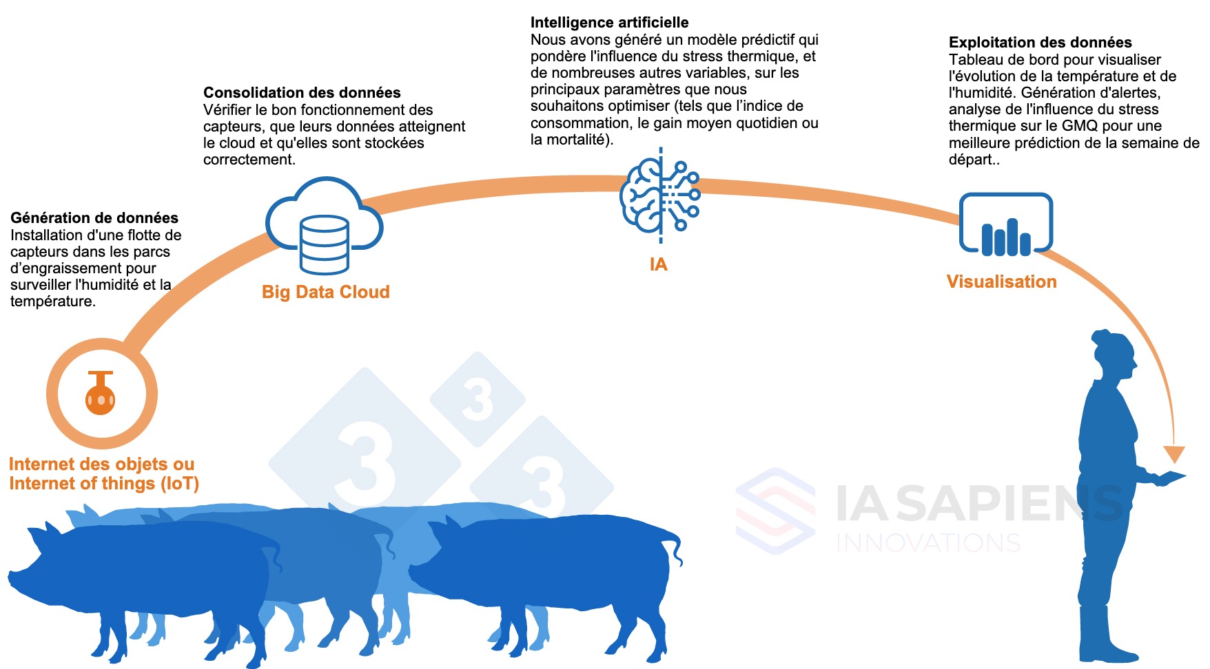 <p>Figure 1 : Mise en &oelig;uvre de l'IA dans les engraissements</p>
