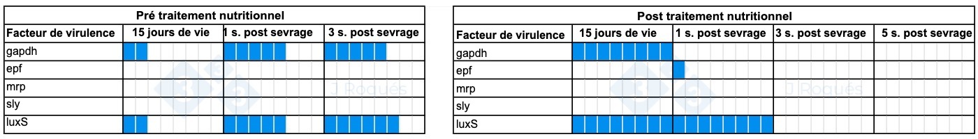 Tableau 1. &Eacute;volution des facteurs de virulence d&eacute;tect&eacute;s chez Streptococcus suis apr&egrave;s l&#39;incorporation d&#39;AGCC et d&#39;AGCM.
