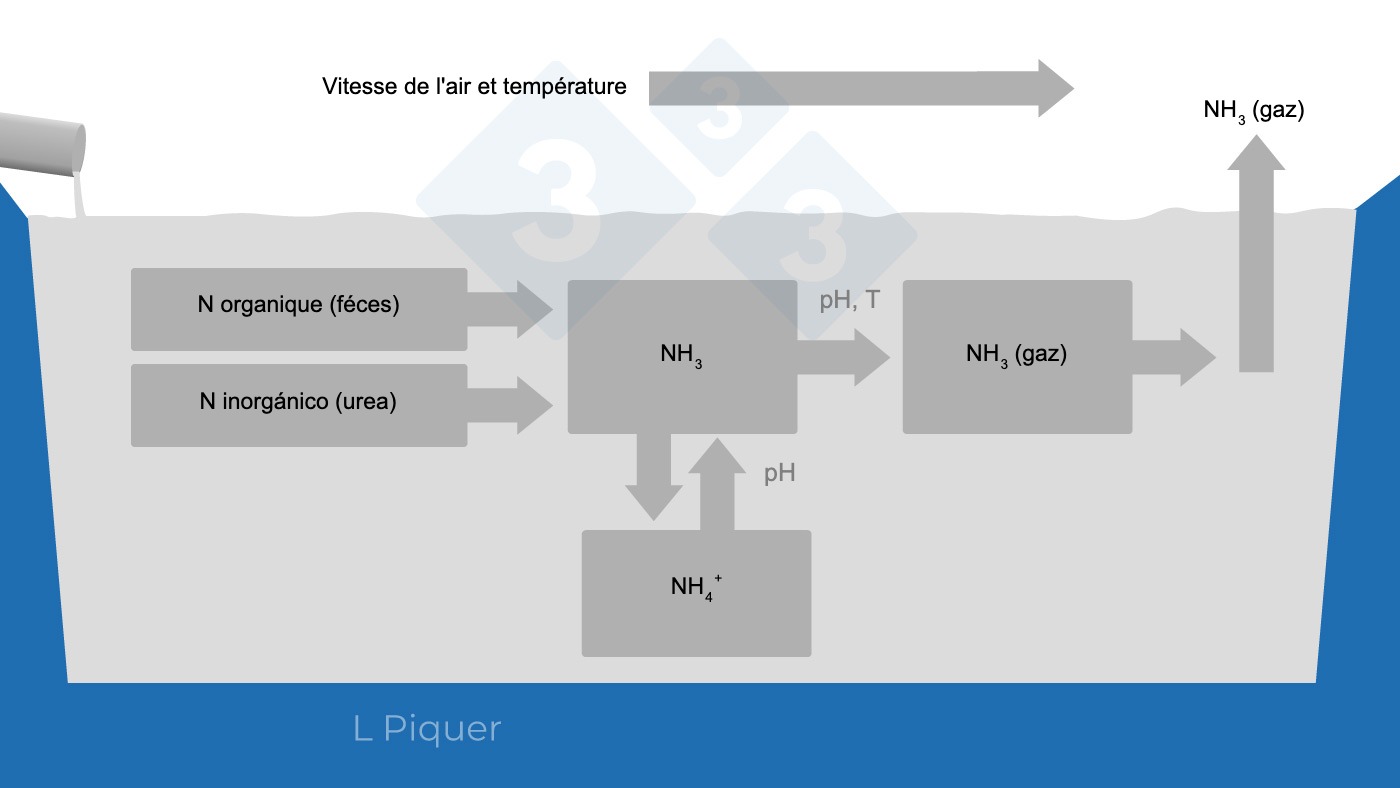 <p>Graphique 2. Cycle de formation de l'ammoniac (NH3) pendant le stockage du lisier.</p>