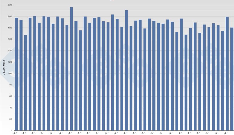 &Eacute;volution du nombre de porcs abattus en France. Source: 3trois3 sur la base des donn&eacute;es d&#39;Eurostat.
