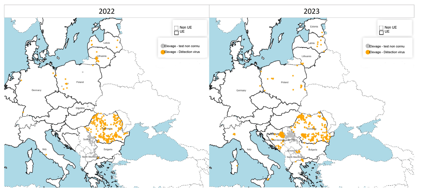 <p>R&eacute;partition spatiale des foyers de PPA chez les porcs d'&eacute;levage confirm&eacute;s en 2022 (&agrave; gauche) et 2023 (&agrave; droite). Source : ADIS, consult&eacute; au 1er f&eacute;vrier 2024. &copy; EuroGeographics pour les limites administratives.</p>

