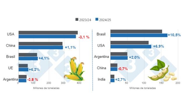 Graphique 1. Projection des récoltes pour les principaux producteurs mondiaux de maïs et de soja - saison 2024/25 par rapport à la saison 2023/24. Préparé par le Service Economie et Intelligence des Marchés sur la base de données de FAS - USDA.