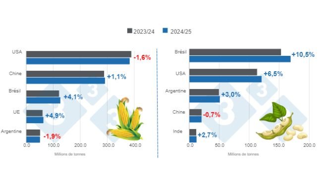 Graphique 1. Projection des récoltes pour les principaux producteurs mondiaux de maïs et de soja - saison 2024/25 par rapport à la saison 2023/24. Elaboré par le service Economie et Intelligence des Marchés à partir de données de FAS - USDA. 