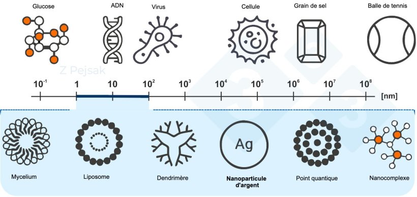 Figure 2 : &Eacute;chelle nanom&egrave;trique
