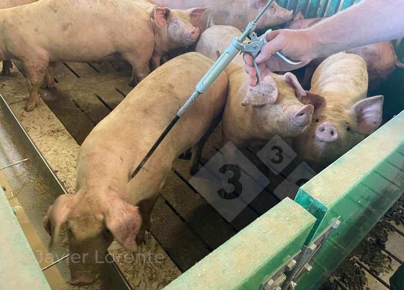 Photo 3 : point d&#39;application correct.
