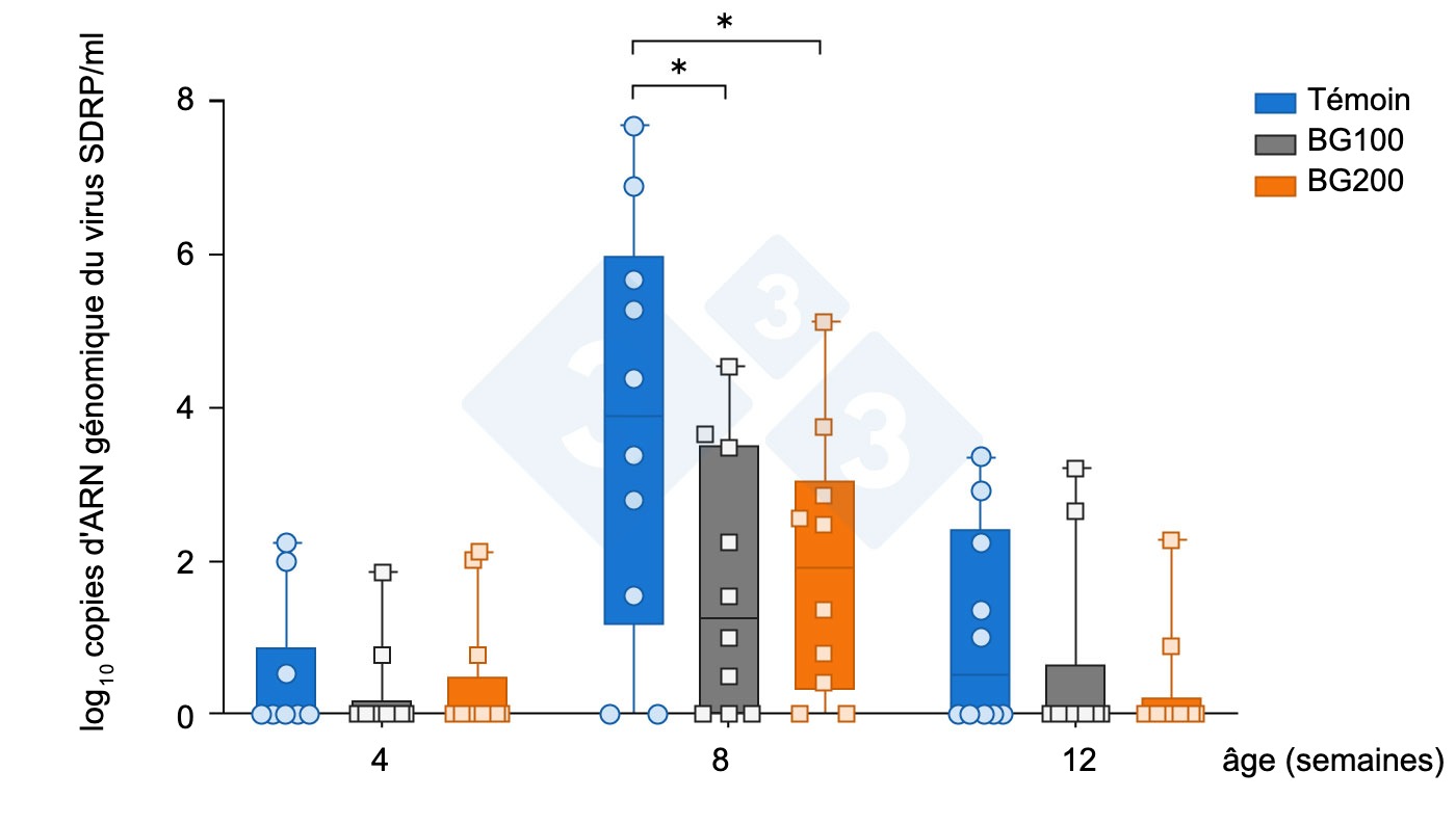 <p>Figure 6 : Réduction précoce de la virémie du SDRP MLV par la supplémentation en bêta-glucane (Chuaychu et al., 2024). Des sérums de porcs expérimentaux ont été sélectionnés au hasard dans chaque groupe (n=10) et soumis à l'extraction de l'ARN génomique viral. L'ARN génomique du SDRPv a été quantifié par qRT-PCR. Les données représentent la moyenne (± SD) de l'ARN génomique du SDRPv. Un astérisque (*) indique des différences significatives (p<0,05) entre les groupes.</p>