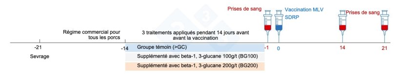 Figure 3 : Résumé du plan de l'essai.