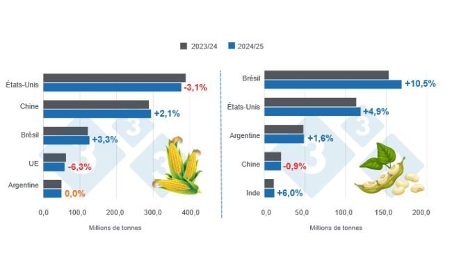 Graphique 1 : Projection de récolte des principaux producteurs mondiaux de maïs et de soja - Campagne 2024/25 versus cycle 2023/24 - dernière mise à jour : 11 février 2025. Préparé par le Département d'Économie et de Durabilité de 333 Amérique Latine avec les données du FAS - USDA