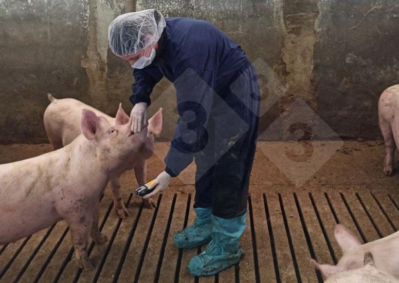 La surveillance de la concentration de gaz est effectuée au moins une fois par station et dans au moins trois cases.