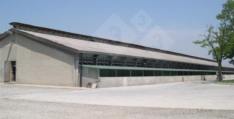 Ouvertures latérales et lanterneau continu pour la ventilation naturelle.