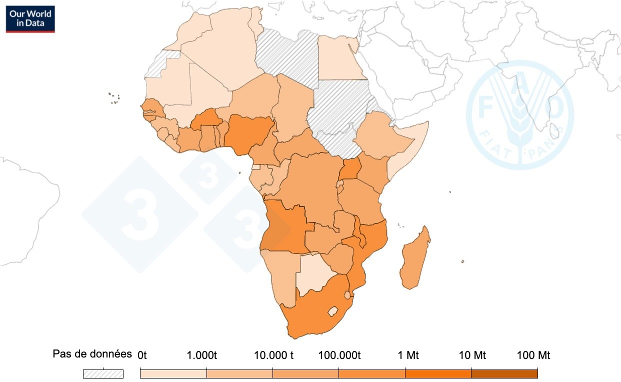 <p>Production de viande de porc en Afrique, 2022. Source : Organisation des Nations unies pour l'alimentation et l'agriculture (2023)</p>