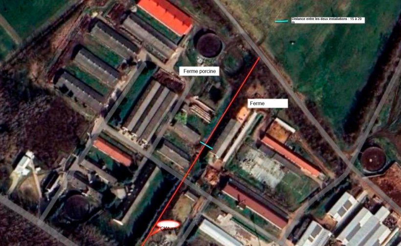 Ferme porcine de contact o&ugrave; 9 888 porcs ont &eacute;t&eacute; abattus &agrave; titre pr&eacute;ventif.
