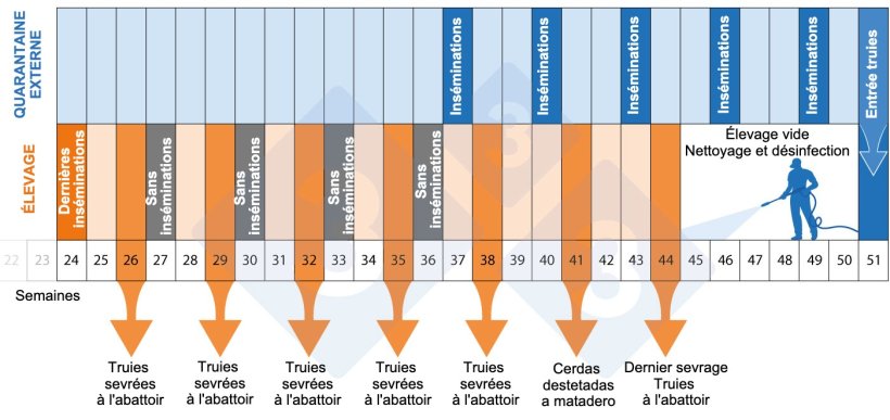 Figure 2.Calendrier du programme de dépeuplement-repeuplement