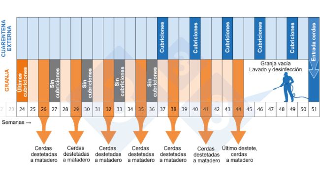 Figure 2.Calendrier du programme de d&eacute;peuplement-repeuplement
