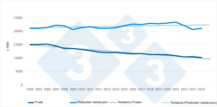 Évolution du cheptel de truies et de la production de viande dans l’UE (2004-2024). Source : 333 d’après les données d’Eurostat.
