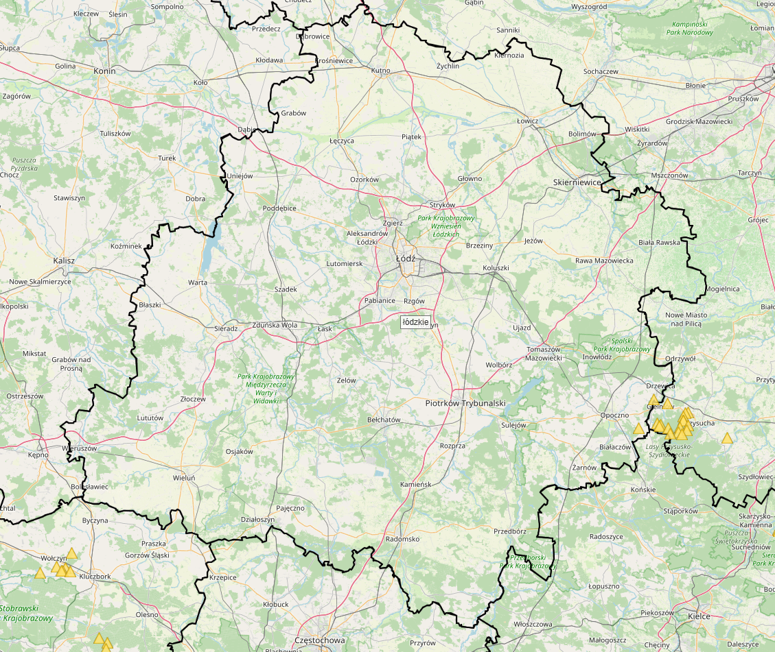 <p>The first case of ASF in a wild boar in Lodz province. Source: Chief Veterinary Inspectorate.</p>